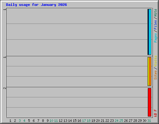 Daily usage for January 2026
