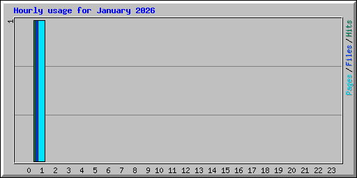 Hourly usage for January 2026