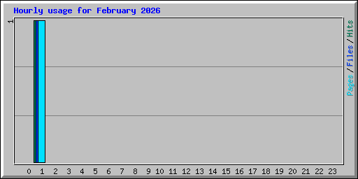 Hourly usage for February 2026